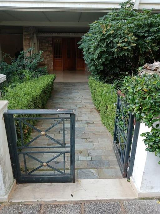 Cozy Studio Maria In Paleo Faliro Афины Экстерьер фото